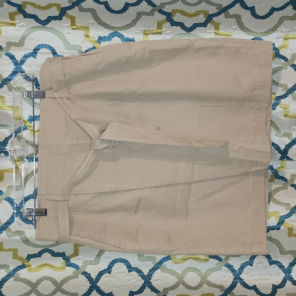 Ann Taylor Loft skirt